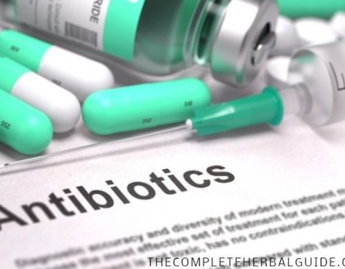 Antibiotics Failed, Use Herbs For Better Overall Health