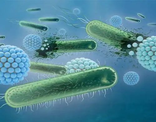 Pathogen Testing - Labtek Services Ltd